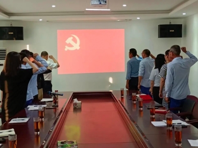 不忘初心，砥礪前行——創(chuàng)輝電氣黨支部開展“對黨說句心里話”主題黨日活動